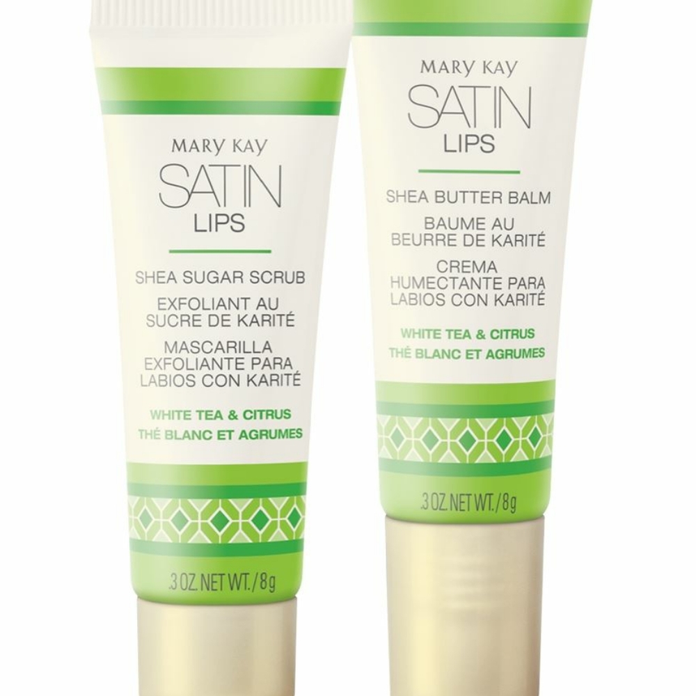 Mary Kay Satin Lips NWT